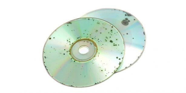 what is disc rot