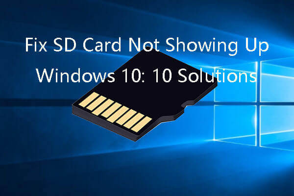 Fix SD Card Not Showing Up Windows 10: 10 Solutions