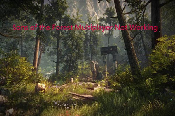 5 Methods to Solve Sons of the Forest Multiplayer Not Working