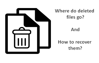 ¿A dónde van los archivos eliminados?