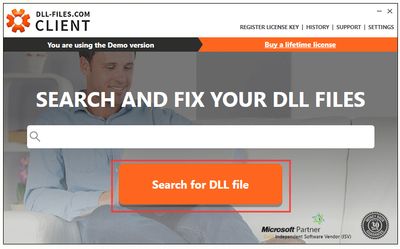 Search for DLL file