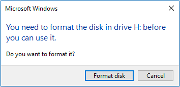 You need to format the disk before using it