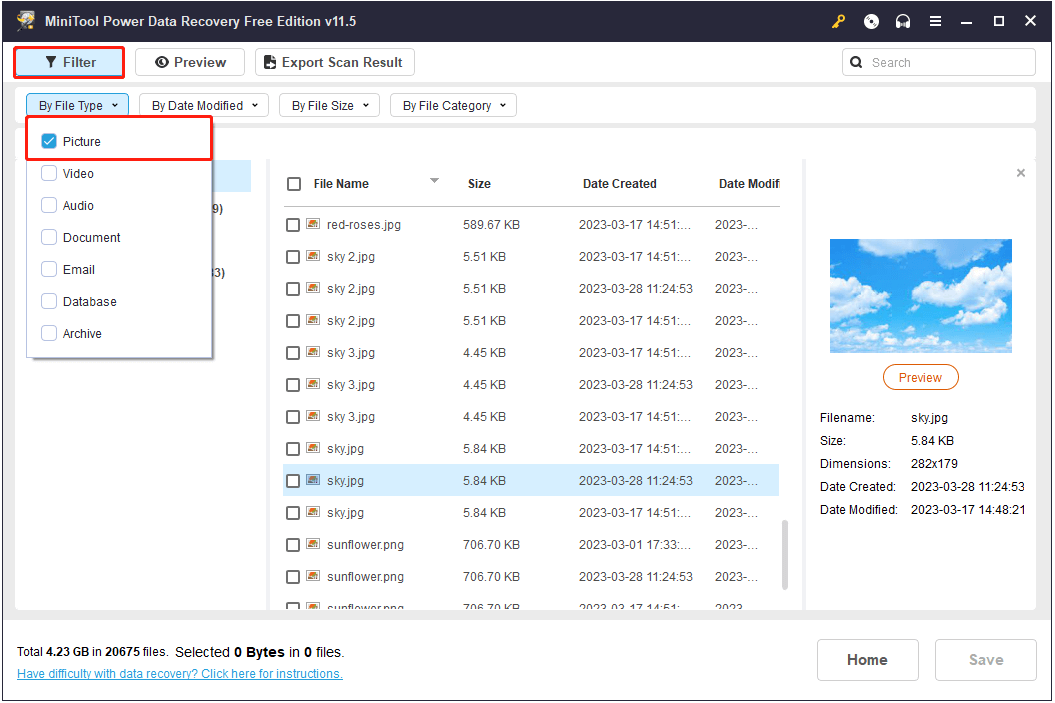 filter found files by file type