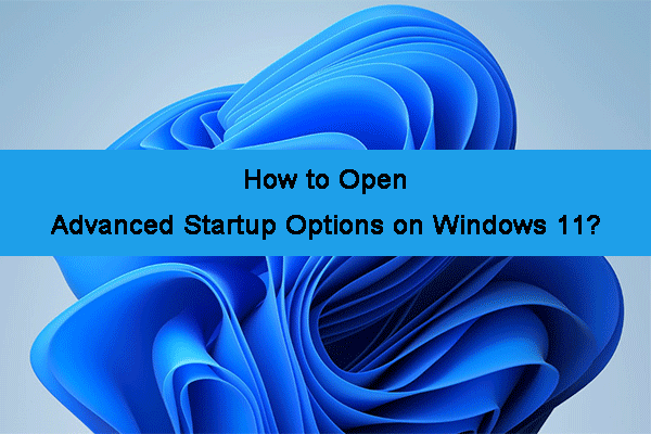 How to Access Advanced Startup Options (WinRE) on Windows 11?
