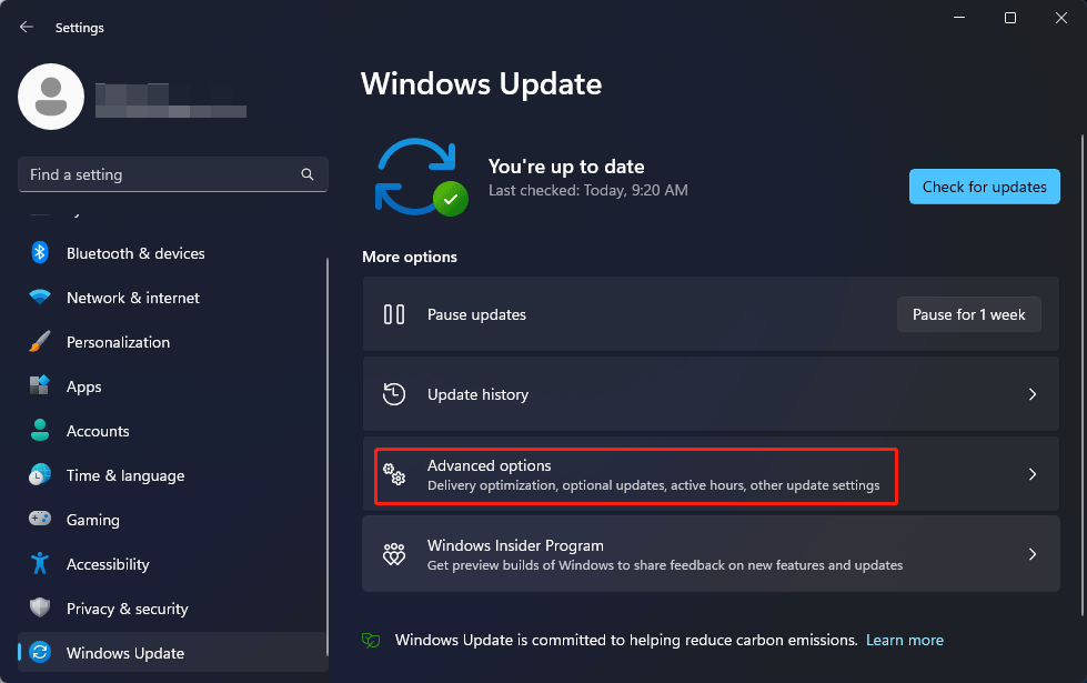 click Advanced options in Windows Update