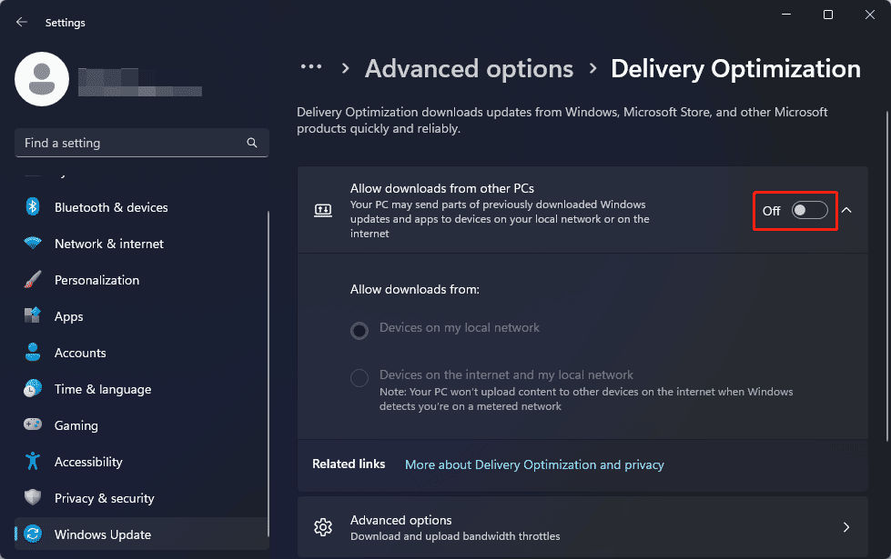 turn off Allow downloads from other PCs on Windows 11