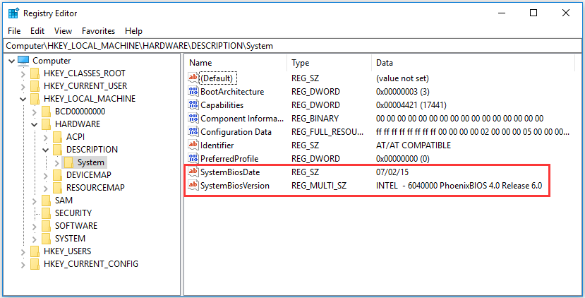 check BIOS version in Registry