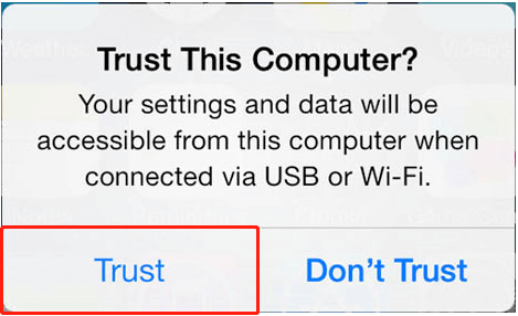 click the button to trust the computer