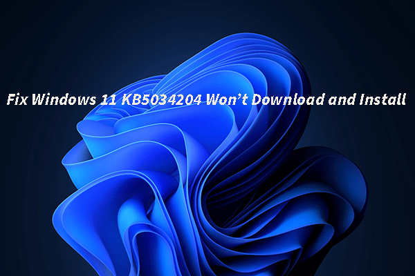 What to Do if Windows 11 KB5034204 Won’t Download and Install