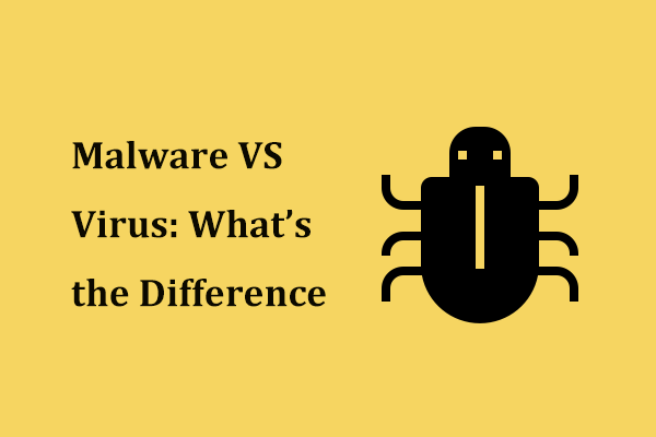 Malware VS Virus: What’s the Difference? What to Do?