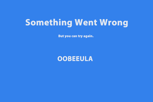 How to Fix Something Went Wrong with OOBEEULA on Windows 10/11?