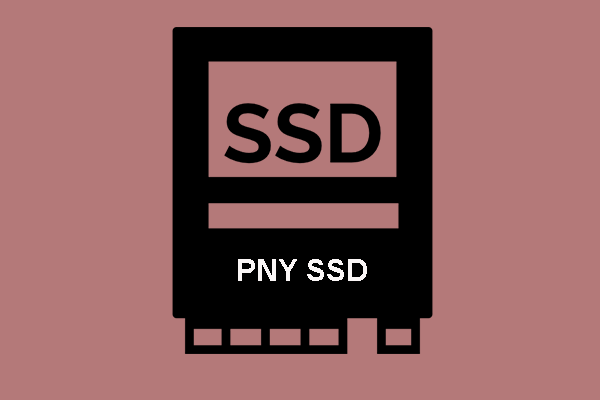 PNY Releases Its Latest CS2311, CS3030 and Pro Elite SSD