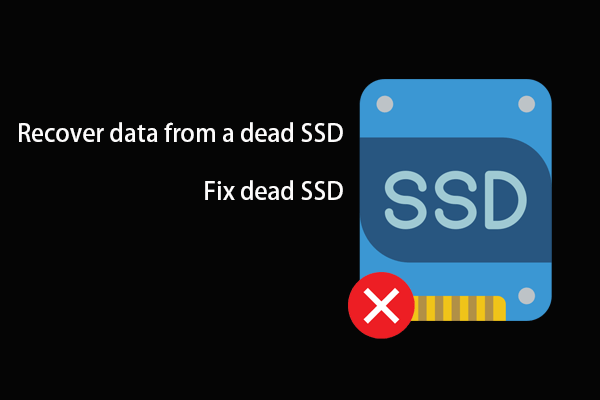 How to Recover Data from a Dead SSD? How to Fix a Dead SSD?