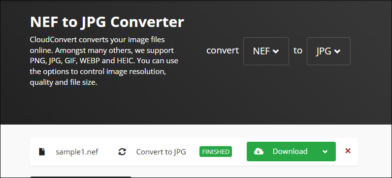 convert the NEF file