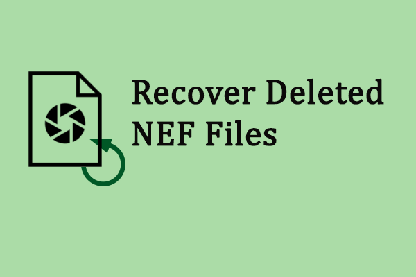 NEF File Recovery: Guide to Recover NEF Files from an SD Card