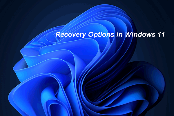 Recovery Options in Windows 11: You Have Multiple Choices