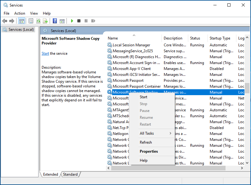 select Microsoft Software Shadow Copy Provider