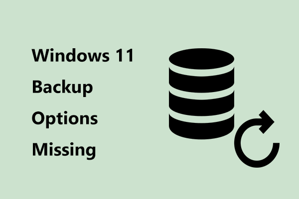 Windows 11 Backup Options Missing from PC? 2 Cases & Fixes