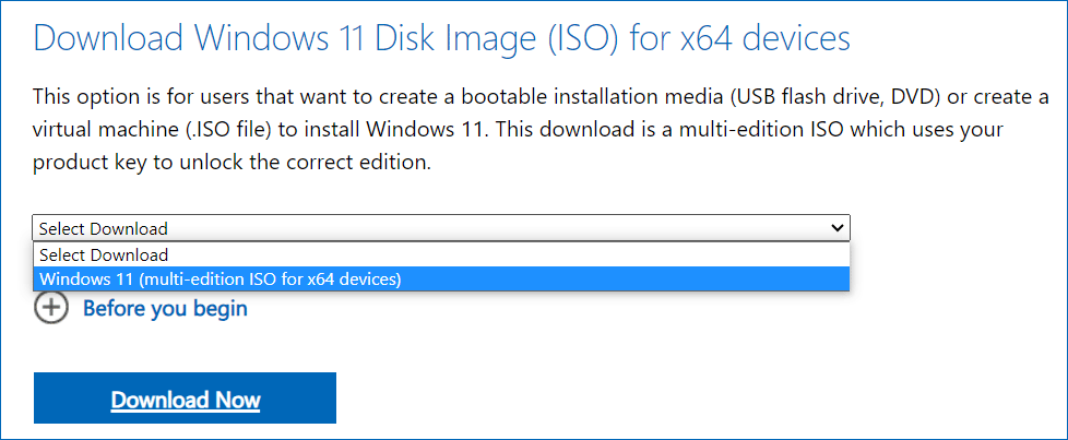 download Windows 11 disk image iso