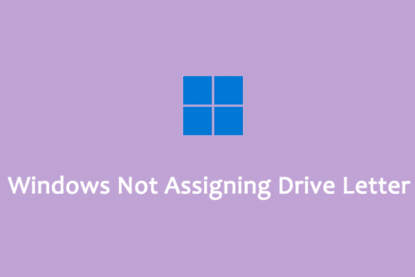 [Solved] Windows 10/11 Not Assigning Drive Letter Automatically?